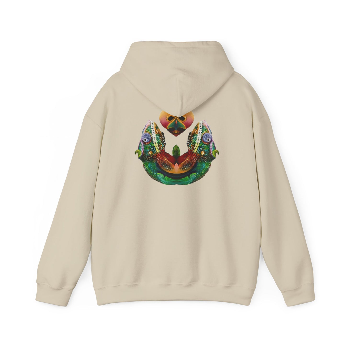AMRU Minimal Logo Hoodie with Colorful Symmetry Back Art