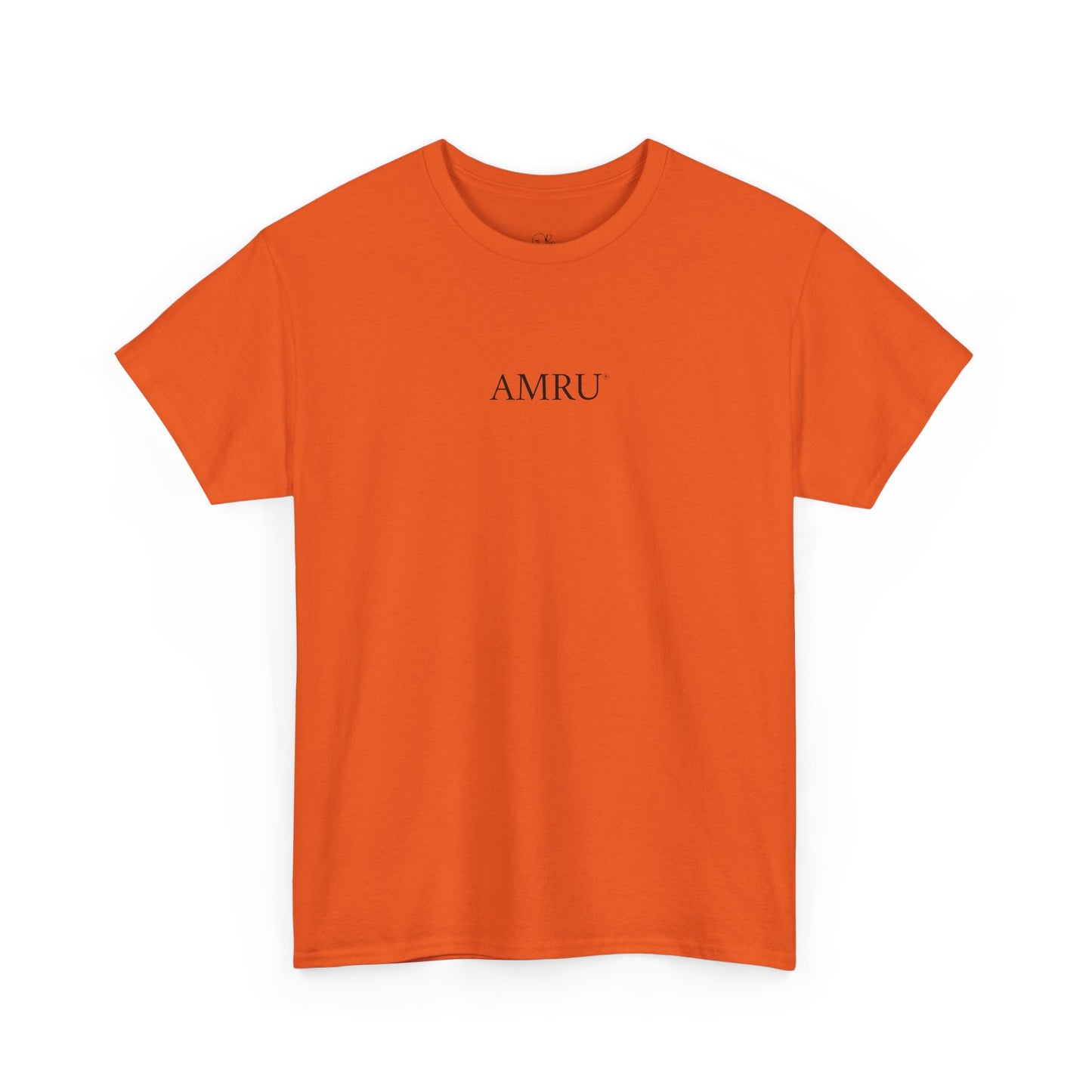 AMRU Minimalist Tee — Abstract Brushstroke Back Graphic